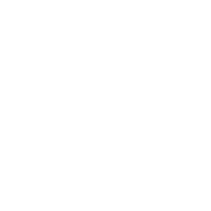 Linkedin Mentordanmark 