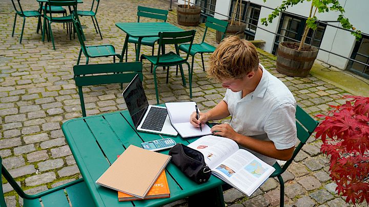 Elev får eksamenshjælp online af mentor