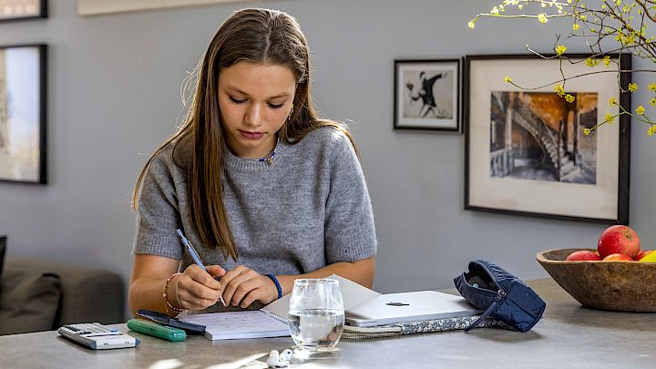 Elev laver SRP og får hjælp af mentor online