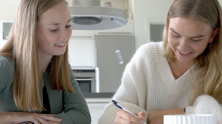 Lektiehjælp med mentor